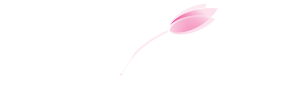 zoom light